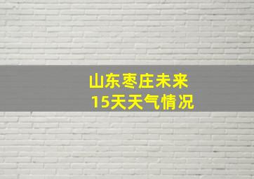 山东枣庄未来15天天气情况