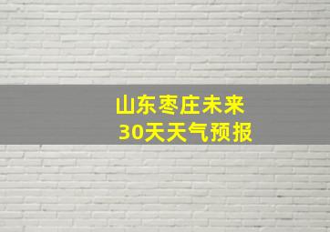 山东枣庄未来30天天气预报