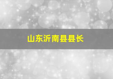 山东沂南县县长