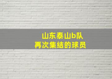 山东泰山b队再次集结的球员