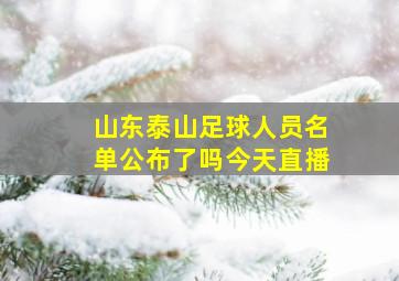 山东泰山足球人员名单公布了吗今天直播