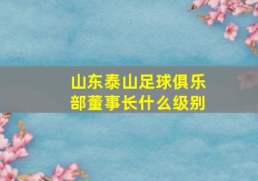 山东泰山足球俱乐部董事长什么级别