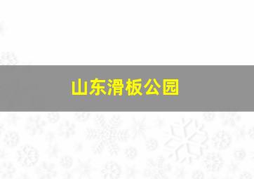 山东滑板公园