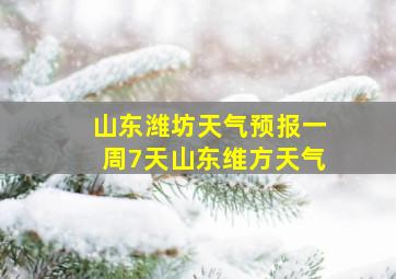 山东潍坊天气预报一周7天山东维方天气