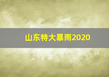 山东特大暴雨2020