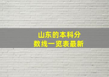 山东的本科分数线一览表最新