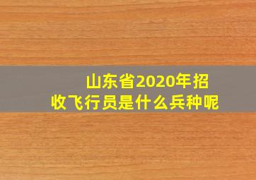 山东省2020年招收飞行员是什么兵种呢