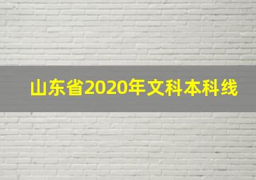 山东省2020年文科本科线