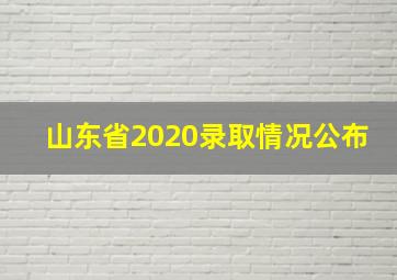 山东省2020录取情况公布