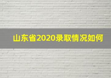 山东省2020录取情况如何