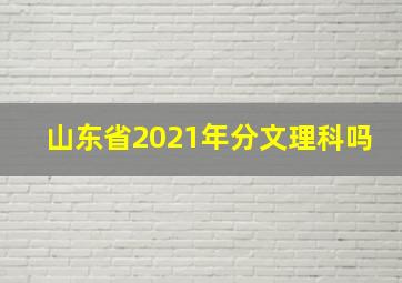 山东省2021年分文理科吗