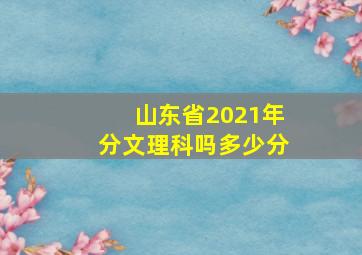 山东省2021年分文理科吗多少分