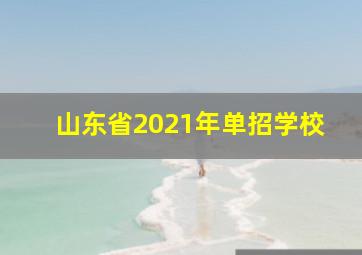 山东省2021年单招学校