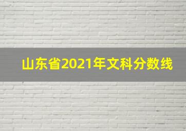 山东省2021年文科分数线