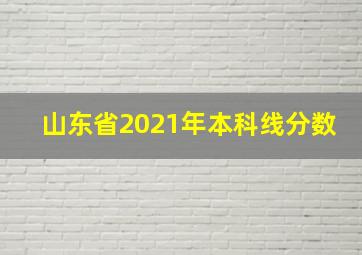 山东省2021年本科线分数