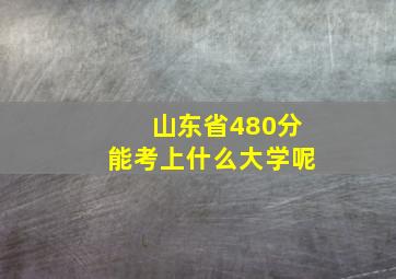 山东省480分能考上什么大学呢