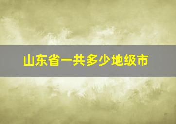 山东省一共多少地级市