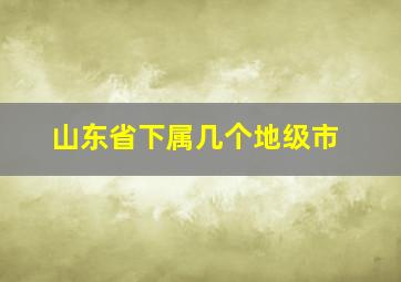 山东省下属几个地级市