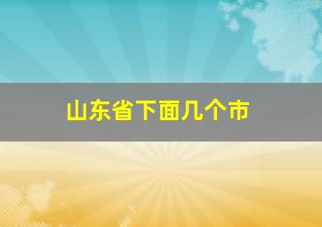 山东省下面几个市