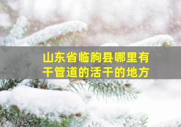 山东省临朐县哪里有干管道的活干的地方