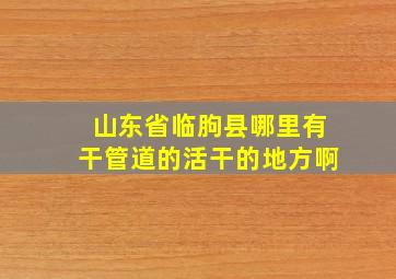 山东省临朐县哪里有干管道的活干的地方啊