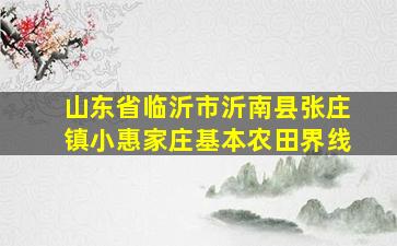 山东省临沂市沂南县张庄镇小惠家庄基本农田界线