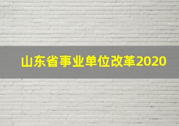 山东省事业单位改革2020