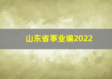 山东省事业编2022