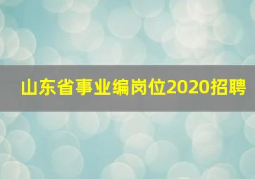 山东省事业编岗位2020招聘