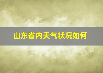 山东省内天气状况如何