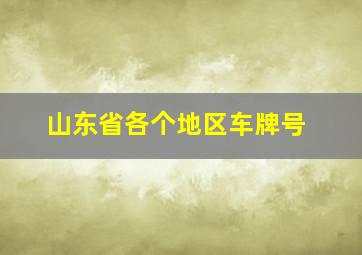 山东省各个地区车牌号