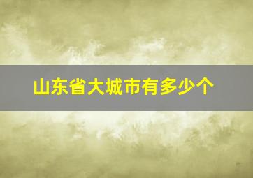 山东省大城市有多少个