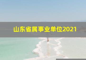 山东省属事业单位2021