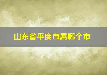 山东省平度市属哪个市