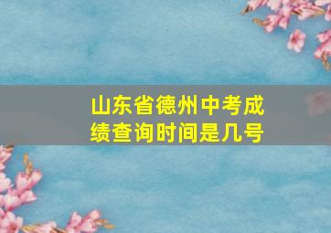 山东省德州中考成绩查询时间是几号