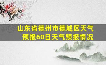 山东省德州市德城区天气预报60日天气预报情况