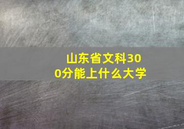 山东省文科300分能上什么大学