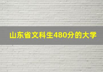 山东省文科生480分的大学