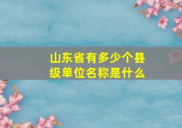 山东省有多少个县级单位名称是什么