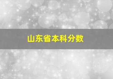 山东省本科分数