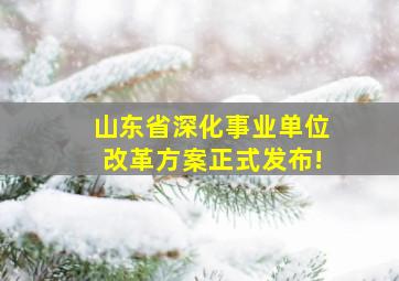 山东省深化事业单位改革方案正式发布!