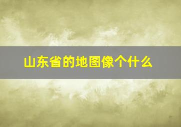 山东省的地图像个什么