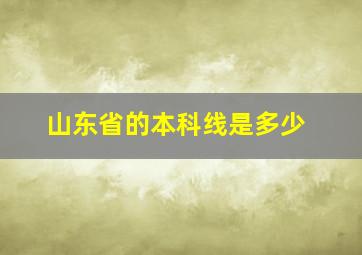 山东省的本科线是多少