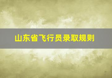 山东省飞行员录取规则