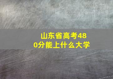 山东省高考480分能上什么大学