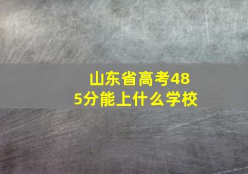 山东省高考485分能上什么学校