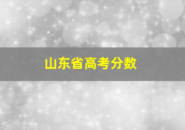 山东省高考分数