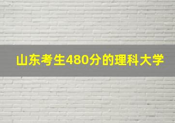 山东考生480分的理科大学