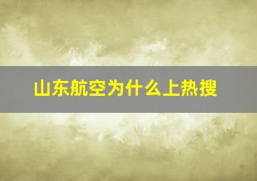 山东航空为什么上热搜