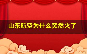 山东航空为什么突然火了